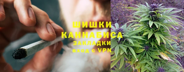 трава Кулебаки