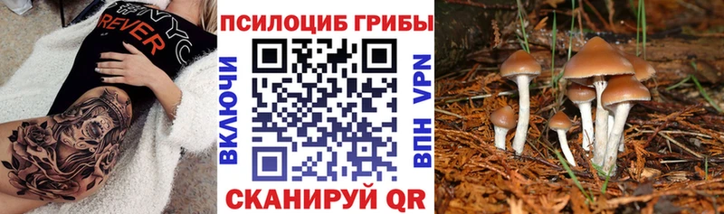 Псилоцибиновые грибы MAGIC MUSHROOMS  Ладушкин 